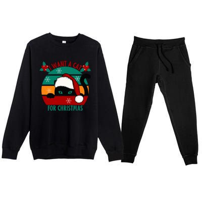 I Want A Cat For Christmas Xmas Cat Gift Premium Crewneck Sweatsuit Set