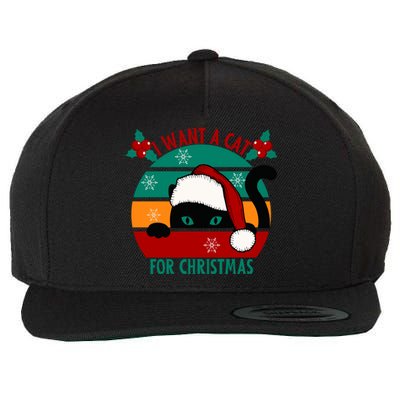 I Want A Cat For Christmas Xmas Cat Gift Wool Snapback Cap