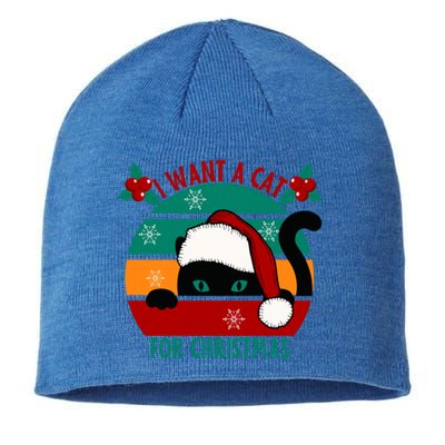 I Want A Cat For Christmas Xmas Cat Gift Sustainable Beanie