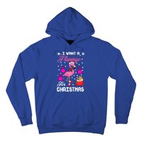 I Want A Flamingo For Christmas Pajama Holiday Xmas Funny Gift Great Gift Hoodie