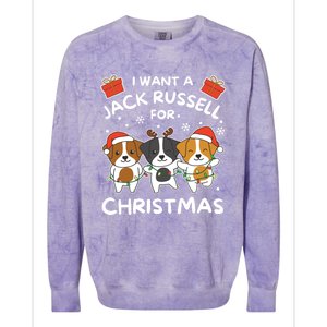 I Want A Jack Russell For Christmas Cute Dogs Gift Colorblast Crewneck Sweatshirt