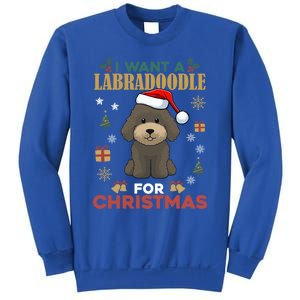 I Want A Labradoodle For Christmas Cute Dog Pet Lover Pajama Cool Gift Sweatshirt