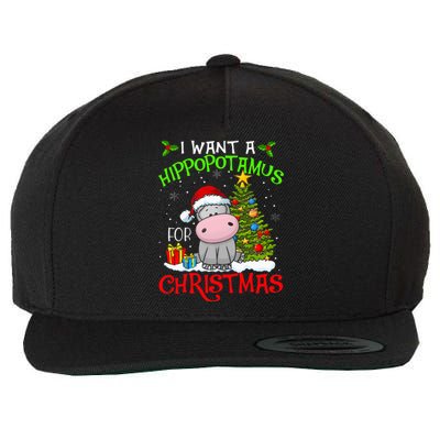 I Want A Hippopotamus For Christmas Xmas Hippo Wool Snapback Cap