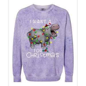 I Want A Hippopotamus For Christmas Xmas Hippo Lover Funny Colorblast Crewneck Sweatshirt