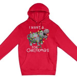 I Want A Hippopotamus For Christmas Xmas Hippo Lover Funny Premium Pullover Hoodie