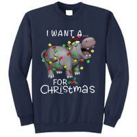 I Want A Hippopotamus For Christmas Xmas Hippo Lover Funny Sweatshirt