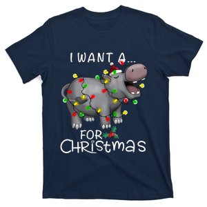 I Want A Hippopotamus For Christmas Xmas Hippo Lover Funny T-Shirt