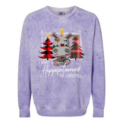 I Want A Hippopotamus For Christmas Cute Hippo Xmas Funny Gift Colorblast Crewneck Sweatshirt