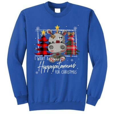 I Want A Hippopotamus For Christmas Cute Hippo Xmas Funny Gift Sweatshirt