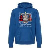 I Want A Hippopotamus For Christmas Cute Hippo Xmas Funny Gift Premium Hoodie