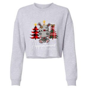 I Want A Hippopotamus For Christmas Cute Hippo Xmas Funny Gift Cropped Pullover Crew