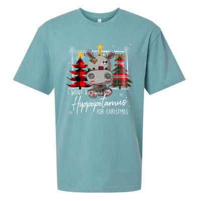 I Want A Hippopotamus For Christmas Cute Hippo Xmas Funny Gift Sueded Cloud Jersey T-Shirt