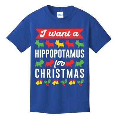 I Want A Hippopotamus For Christmas Xmas Hippo Gift Kids T-Shirt