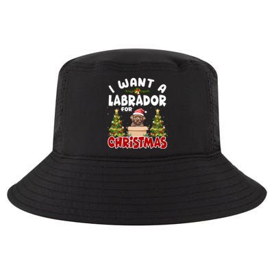 I Want A Labrador For Christmas Labs Mom Dog Lover Christmas Gift Cool Comfort Performance Bucket Hat