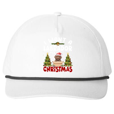 I Want A Labrador For Christmas Labs Mom Dog Lover Christmas Gift Snapback Five-Panel Rope Hat