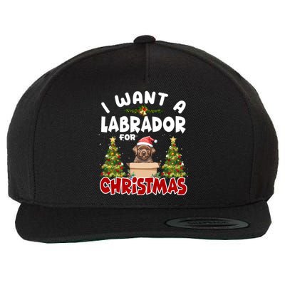 I Want A Labrador For Christmas Labs Mom Dog Lover Christmas Gift Wool Snapback Cap