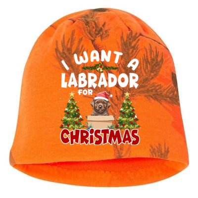 I Want A Labrador For Christmas Labs Mom Dog Lover Christmas Gift Kati - Camo Knit Beanie