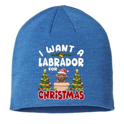 I Want A Labrador For Christmas Labs Mom Dog Lover Christmas Gift Sustainable Beanie