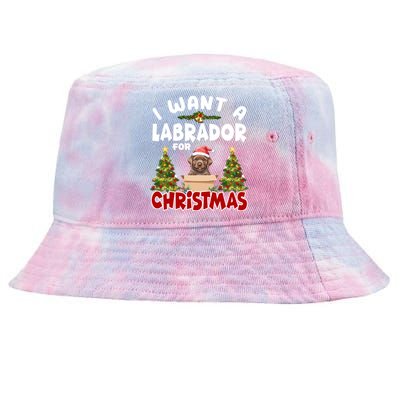 I Want A Labrador For Christmas Labs Mom Dog Lover Christmas Gift Tie-Dyed Bucket Hat