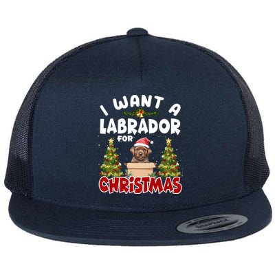 I Want A Labrador For Christmas Labs Mom Dog Lover Christmas Gift Flat Bill Trucker Hat