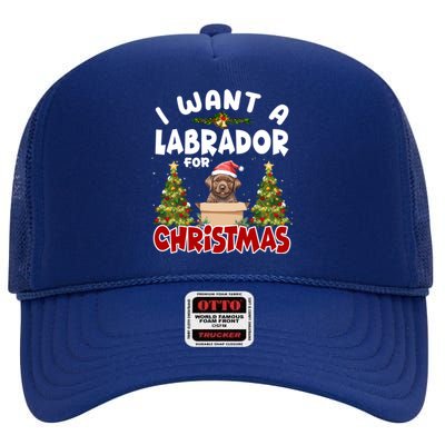 I Want A Labrador For Christmas Labs Mom Dog Lover Christmas Gift High Crown Mesh Back Trucker Hat