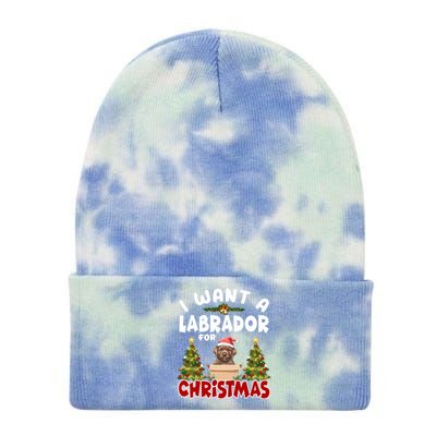 I Want A Labrador For Christmas Labs Mom Dog Lover Christmas Gift Tie Dye 12in Knit Beanie