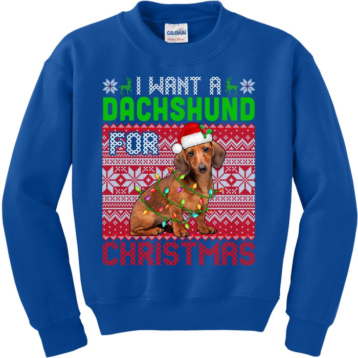 I Want A Dachshund For Christmas Santa Dog Lover Owner Gift Kids Sweatshirt