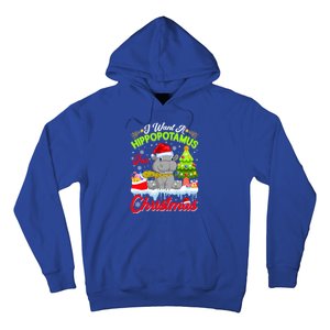 I Want A Hippopotamus For Christmas Cute Xmas Hippo Gift Hoodie