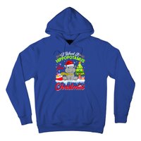 I Want A Hippopotamus For Christmas Cute Xmas Hippo Gift Hoodie