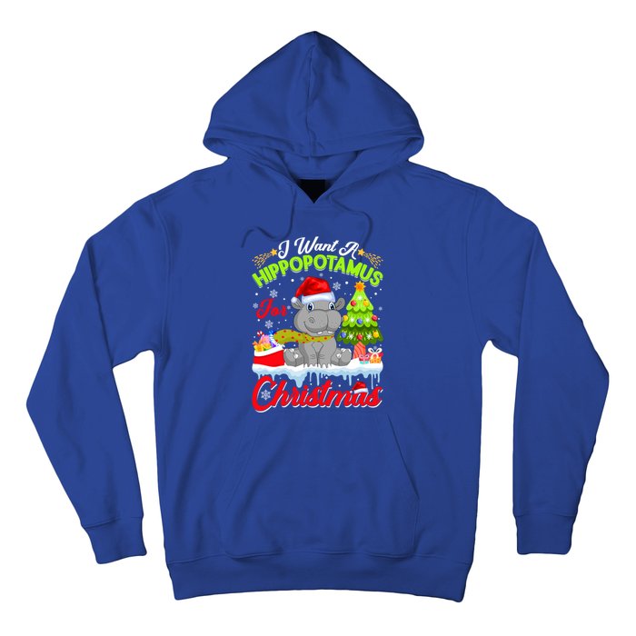 I Want A Hippopotamus For Christmas Cute Xmas Hippo Gift Hoodie