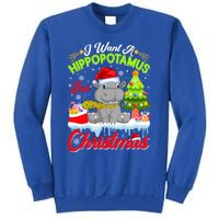 I Want A Hippopotamus For Christmas Cute Xmas Hippo Gift Tall Sweatshirt