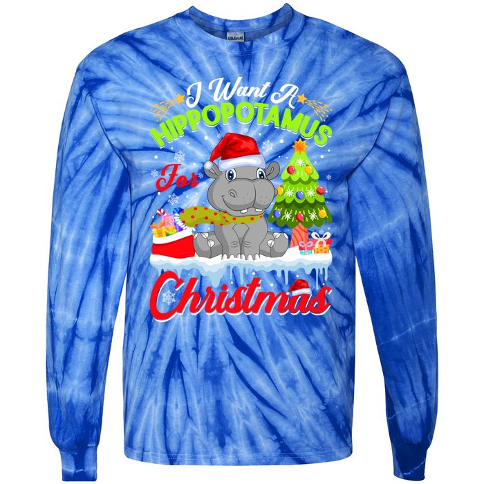 I Want A Hippopotamus For Christmas Cute Xmas Hippo Gift Tie-Dye Long Sleeve Shirt