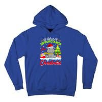 I Want A Hippopotamus For Christmas Cute Xmas Hippo Gift Tall Hoodie