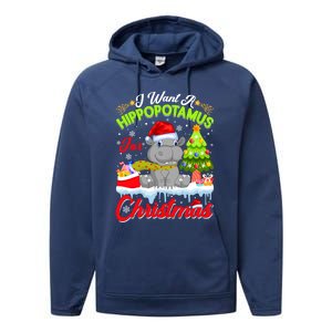 I Want A Hippopotamus For Christmas Cute Xmas Hippo Gift Performance Fleece Hoodie