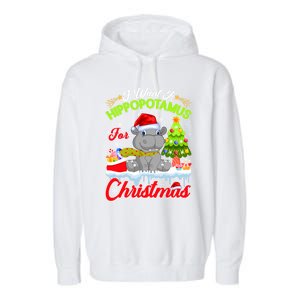 I Want A Hippopotamus For Christmas Cute Xmas Hippo Gift Garment-Dyed Fleece Hoodie