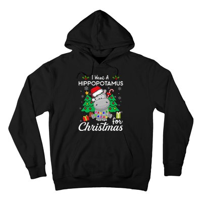 I Want A Hippopotamus For Christmas Cute Gift Xmas Hoodie