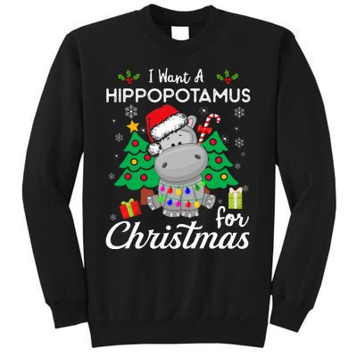 I Want A Hippopotamus For Christmas Cute Gift Xmas Sweatshirt