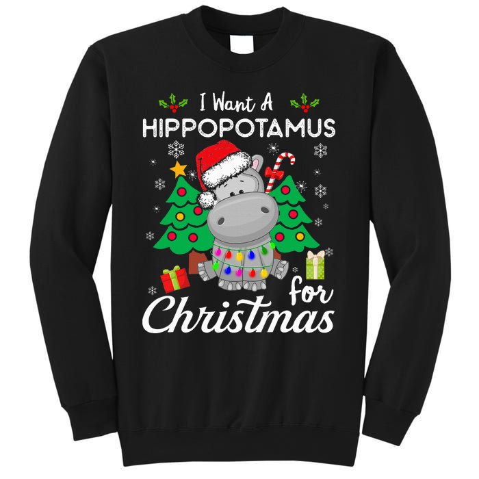 I Want A Hippopotamus For Christmas Cute Gift Xmas Sweatshirt