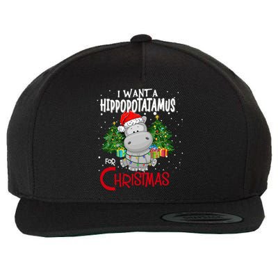 I Want A Hippopotamus For Christmas Santa Hat Fun Xmas Hippo Great Gift Wool Snapback Cap