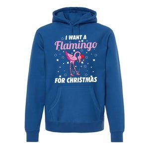 I Want A Flamingo For Christmas Funny Family Christmas Gift Premium Hoodie