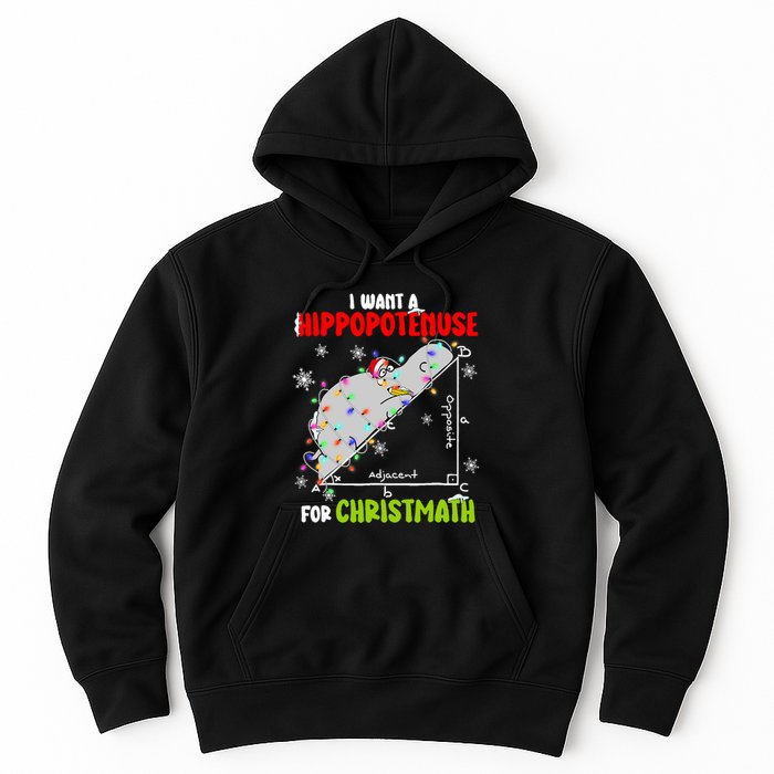 I Want A Hippopotamus For Christmas Xmas Hippo Math Teacher Hoodie