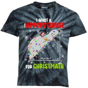 I Want A Hippopotamus For Christmas Xmas Hippo Math Teacher Kids Tie-Dye T-Shirt