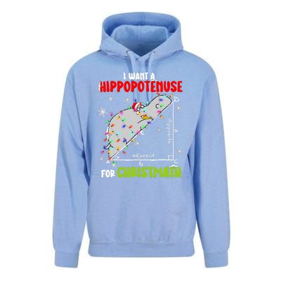 I Want A Hippopotamus For Christmas Xmas Hippo Math Teacher Unisex Surf Hoodie