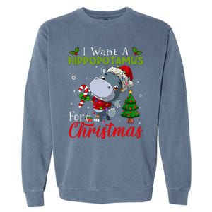 I Want A Hippopotamus For Christmas Hippo Candy Santa  Garment-Dyed Sweatshirt