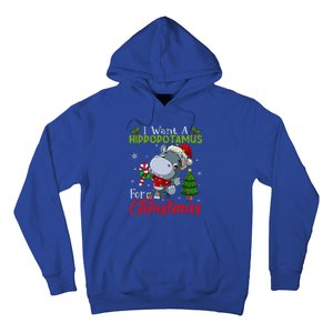 I Want A Hippopotamus For Christmas Hippo Candy Santa  Hoodie