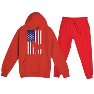 Irish Wolfhound American Flag Usa Patriotic Dog Gift Cute Gift Premium Hooded Sweatsuit Set