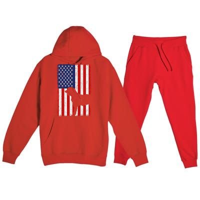 Irish Wolfhound American Flag Usa Patriotic Dog Gift Cute Gift Premium Hooded Sweatsuit Set