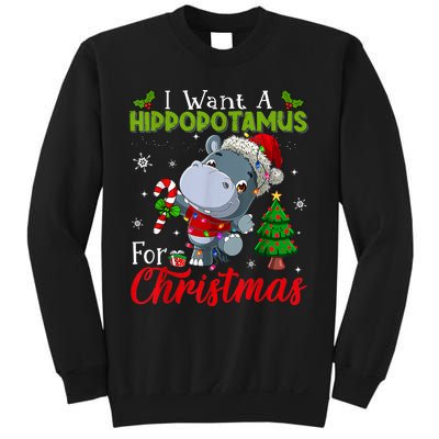 I Want A Hippopotamus For Christmas Xmas Pajama Hippo Lover Sweatshirt