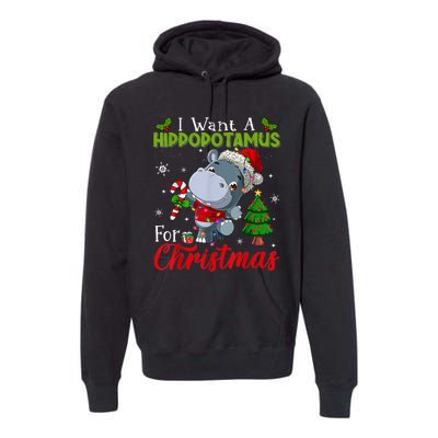 I Want A Hippopotamus For Christmas Xmas Pajama Hippo Lover Premium Hoodie