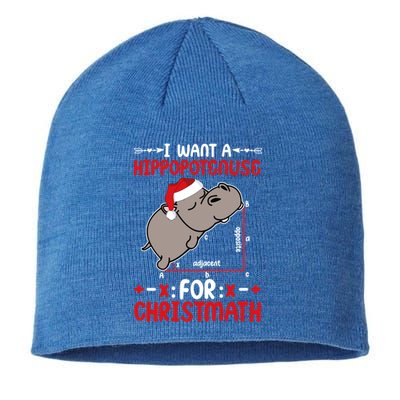 I Want A Hipopotenuse For Christmath Funny Hippo Xmas Cool Gift Sustainable Beanie